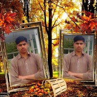Faiz Ul Hassan