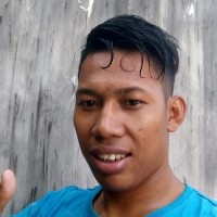 Malik Vierudin