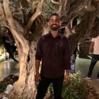 Yaniv David