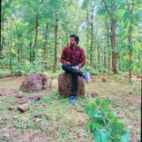 Shailendra Rao