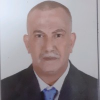 Mohamed Hassan