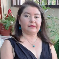 Claudia Medel Santibáñez