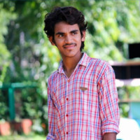 Vikash Meena