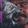 Vikram Singh Tigers