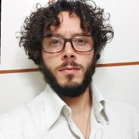 Davide Mellini