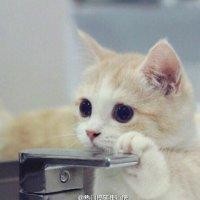 姚永建