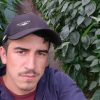 Ulises Monroy