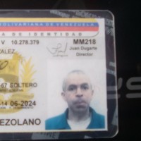 Luis Yanez