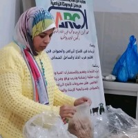 Dr. Sherin Fadel
