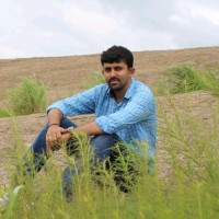 Madhu P