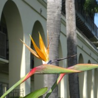 Vanessa Dotson, BS, MBA