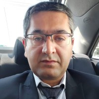 Mohammad H H Nezhad