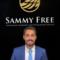 Luiz Arthur Blisa de P. Ferreira