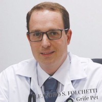 Leandro Folchetti