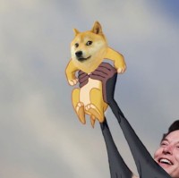 W y