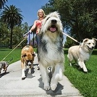 Modern Family Concierge Services