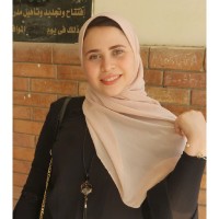 alaa K.