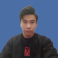 Việt Anh Đinh