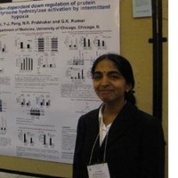 Gayatri Raghuraman