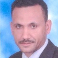 mostafa hemeda