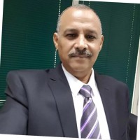 Mohamed Farid