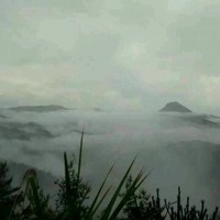 周周桂松