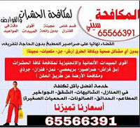 مكافحة الحشرات و القوارض الكويت