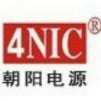 孙大力