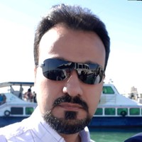 Mohammad Raza Alian