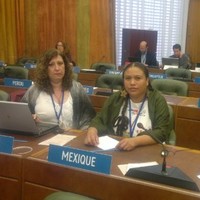 Amelia Reyna Monteros Guijón