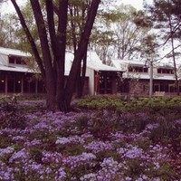 The Willow School