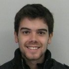 João Luís Fernandes
