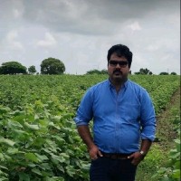 Surendra Singh Panwar