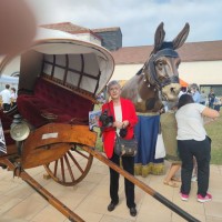 ricardo cobo salinas