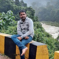 Naveen P