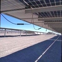 David Verdejo Jorquera