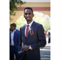 Ahmed Alfadul
