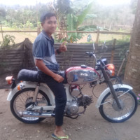 Lalu alvian safari Alvian