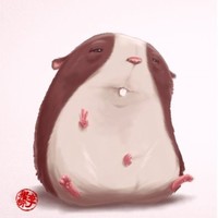 Son Huynh
