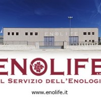 ENOLIFE srl