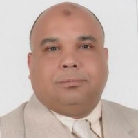 Mahmoud Abd El Hady