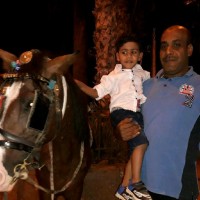 علاء كمال سلطان