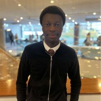 David Ajayi