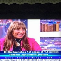 Hanan Abdel Moniem Awad