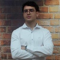 Pedro Henrique Bravo Flores