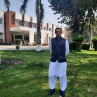 Talha Majeed