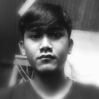 Arie Oktora