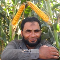 Mohammad Ismail
