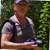 Harry Wiersema