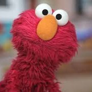 Elmo Razvi